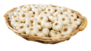 Ail Blanc de Lomagne - Image 1