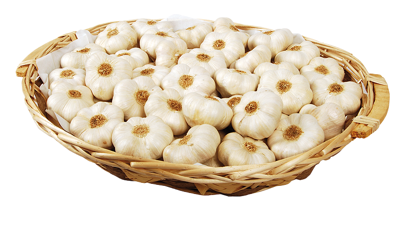 Ail Blanc de Lomagne