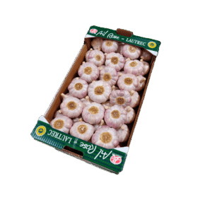 Ail Rose Lautrec - Image 1