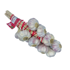 Ail Rose Lautrec - Image 3