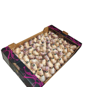 Ail Violet Cadours - Image 1