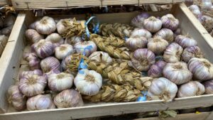 Garlic Braid - Image 1