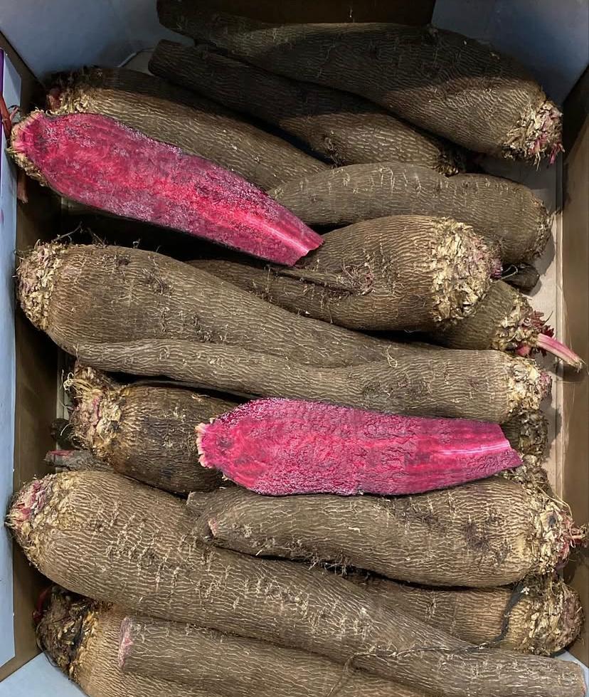 Betteraves Crapaudine