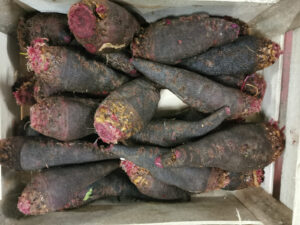 Betteraves Crapaudine - Image 2