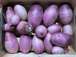 Blue Meat (Radis) - Image 1