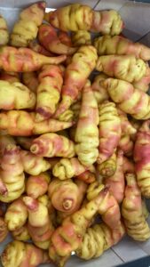 Capucine Tubéreuse - Image 1