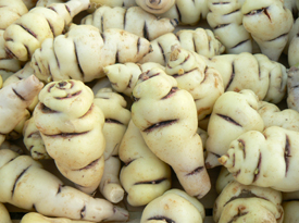 Capucine Tubéreuse - Image 2