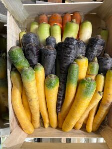 Carottes Mixte - Image 2