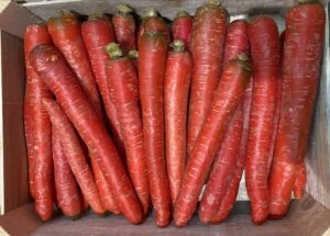 Carottes Rouge - Image 1