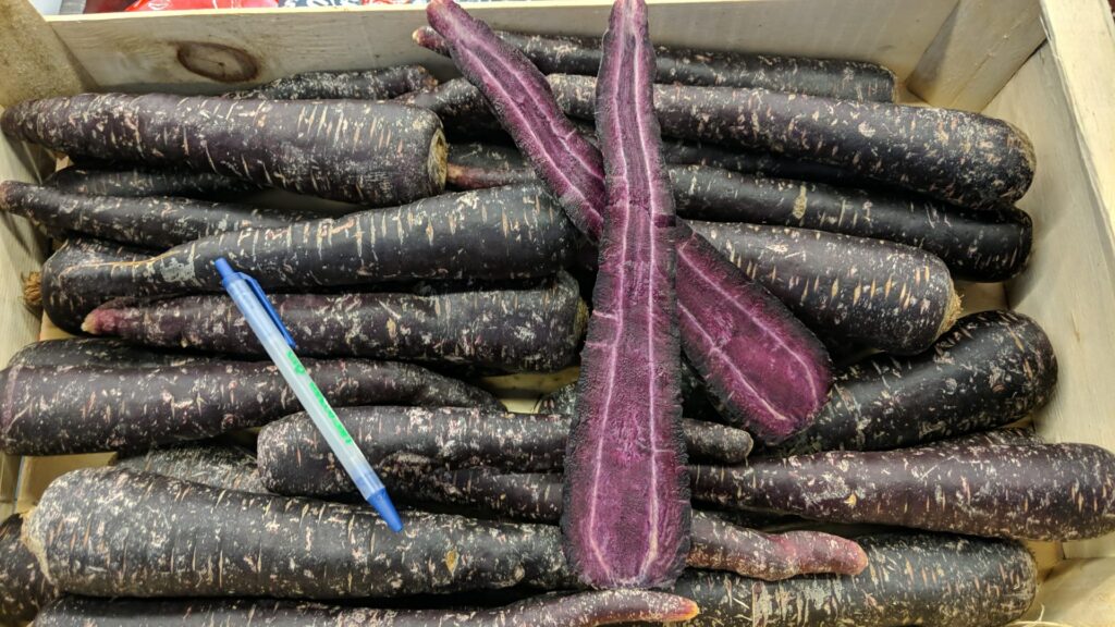 Carottes Violette