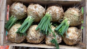 Celeri Rave - Image 1