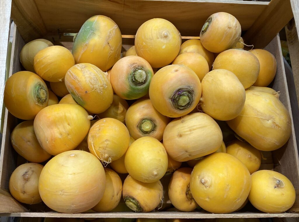 Navet Boule d’Or