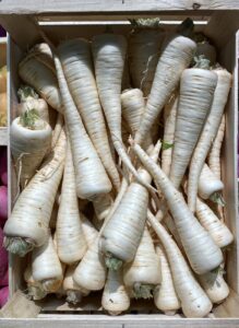 Persil Racine - Image 1