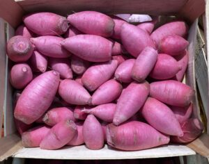 Pink Meat (Radis) - Image 3