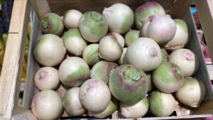 Red Meat (Radis) - Image 1