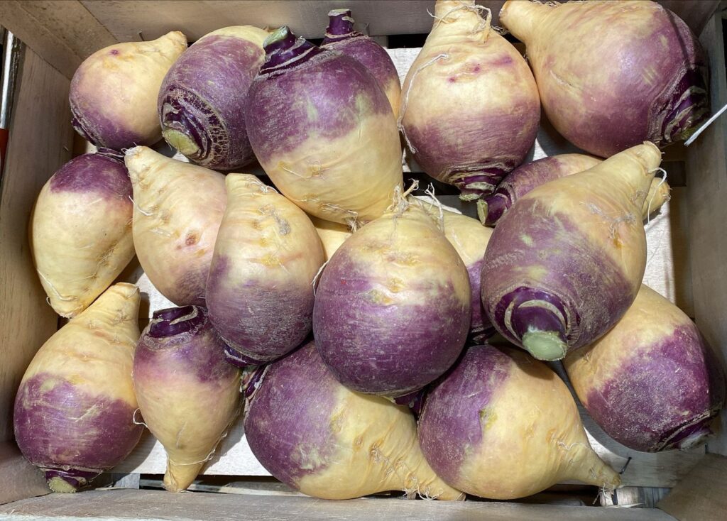 Rutabaga