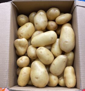 PDT Chair Farineuse - Image 1