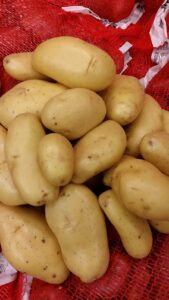 PDT Chair Farineuse - Image 3