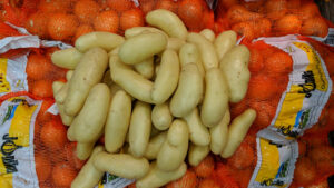 PDT Chair Ferme - Image 3