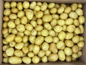 PDT Grenailles - Image 1