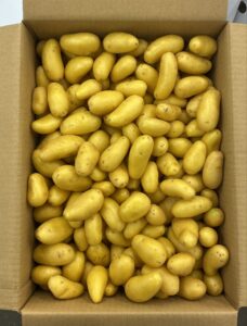 PDT Grenailles - Image 2