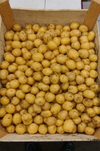 PDT Grenailles - Image 3