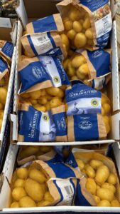 PDT Noirmoutier - Image 3