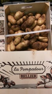 PDT Pompadour - Image 3