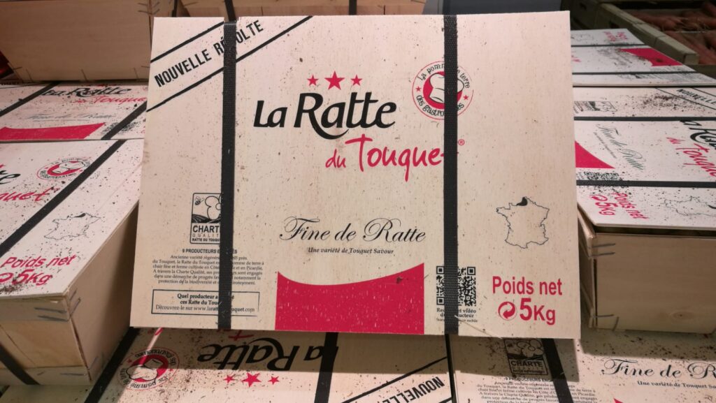 PDT Ratte du Touquet