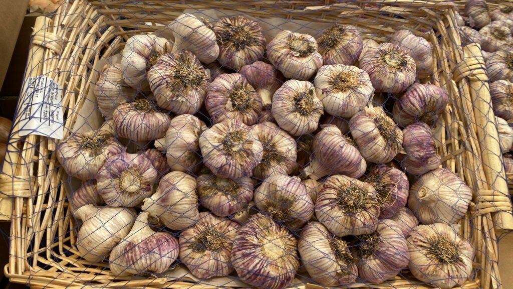 Ail Violet