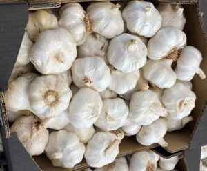 Ail Blanc - Image 2