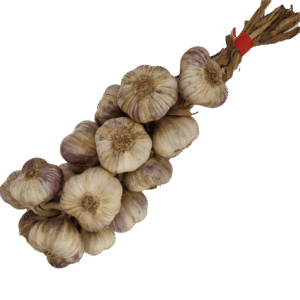 Ail Tresse - Image 1