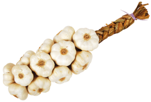 Ail Tresse - Image 2