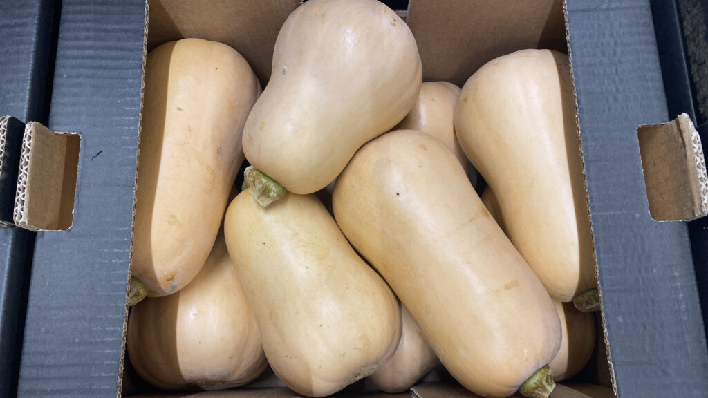 Butternut
