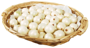 Oignon Blanc - Image 3