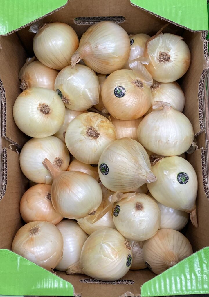 Oignon Doux Cévennes