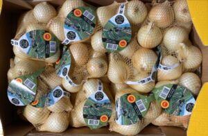 Oignon Doux Cévennes - Image 3