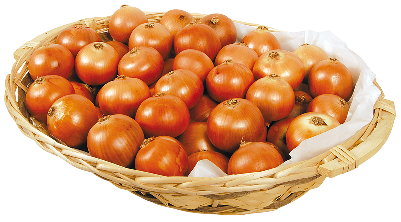 Oignon Jaune