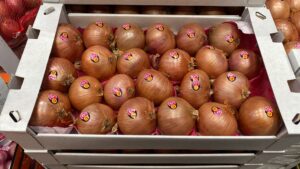 Oignon Rose Roscoff - Image 2