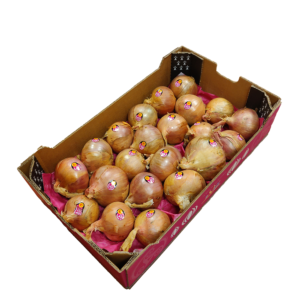 Oignon Rose Roscoff - Image 3