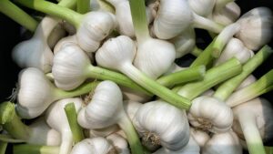 Frischer Knoblauch - Image 3